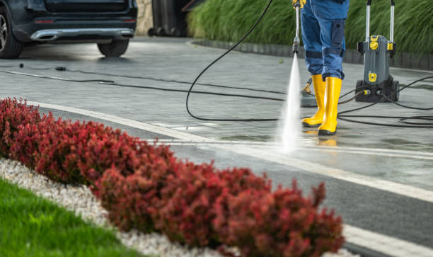 Best Driveway Pressure Washing  in North Apollo, PA